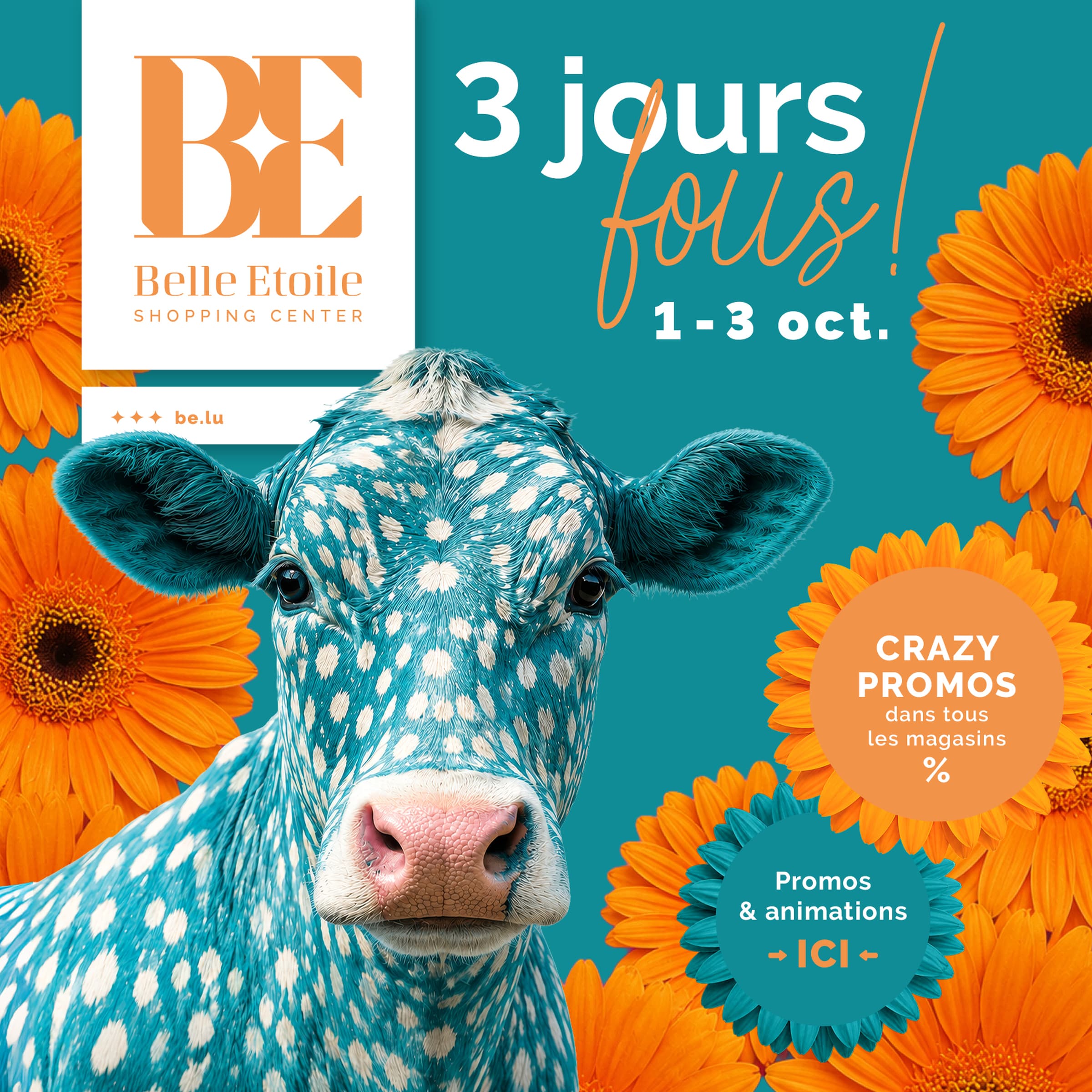 3 crazy days at La Belle Etoile!