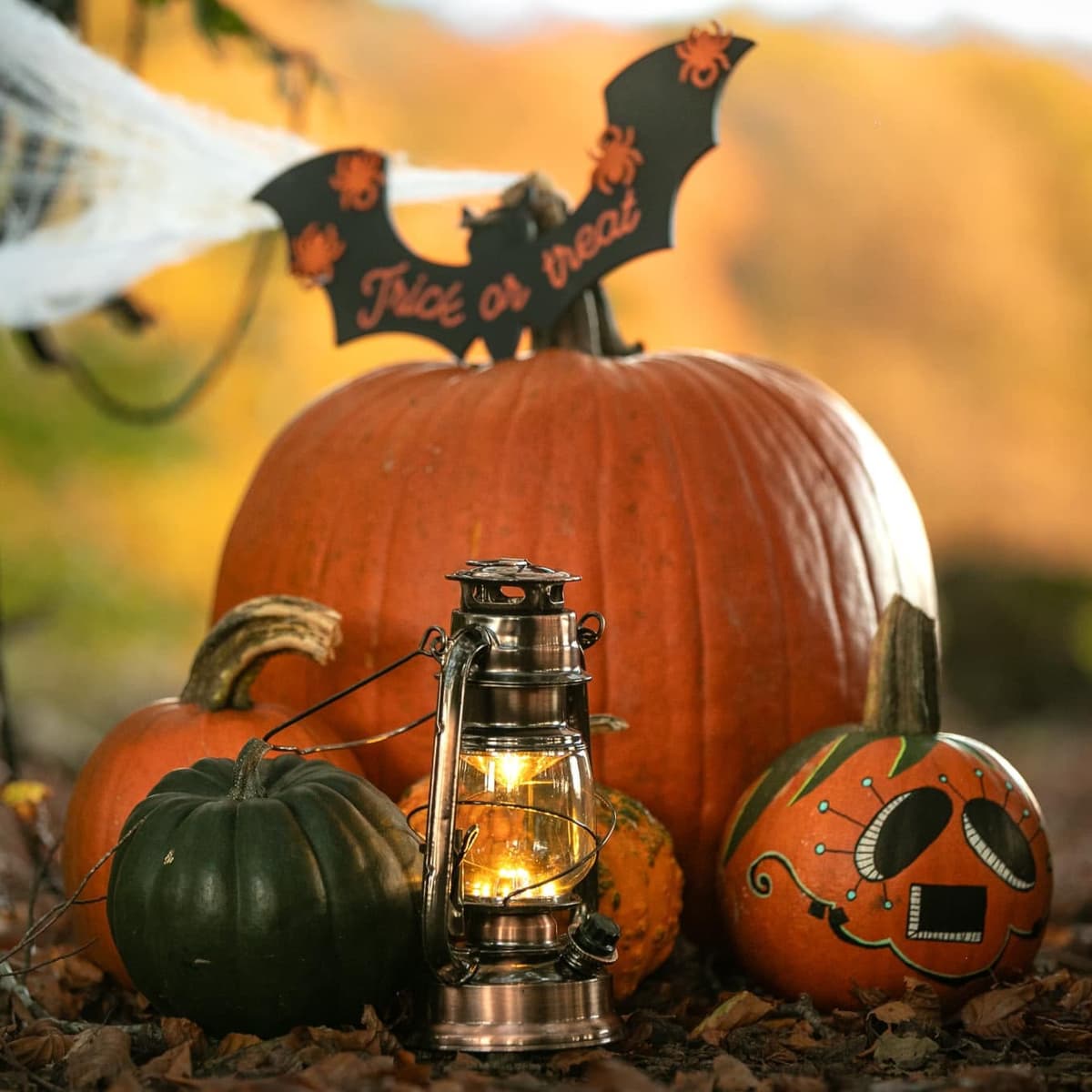 Halloween approche : déniche ta citrouille ! - 1