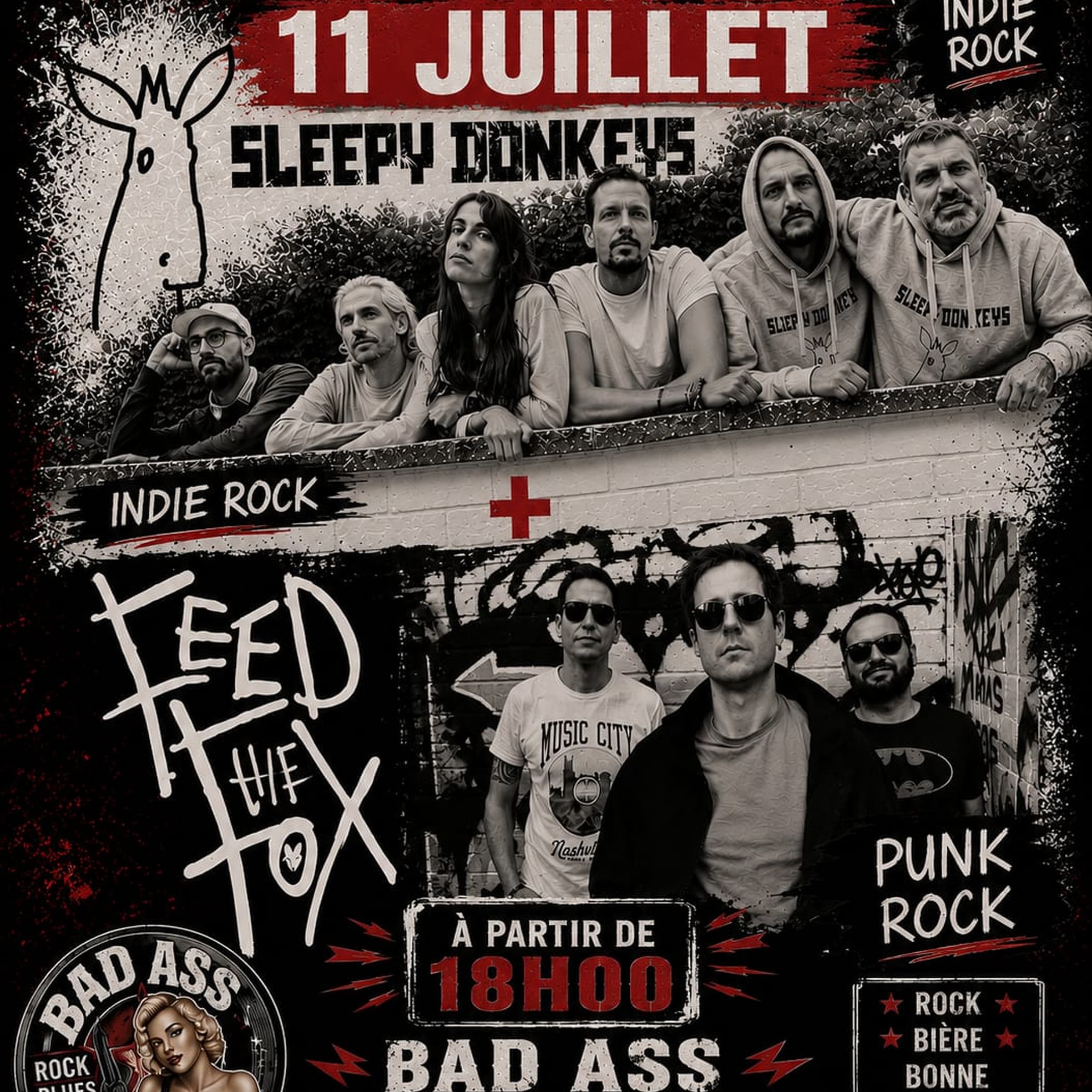 Sleepy Donkeys & Feed The Fox Concert