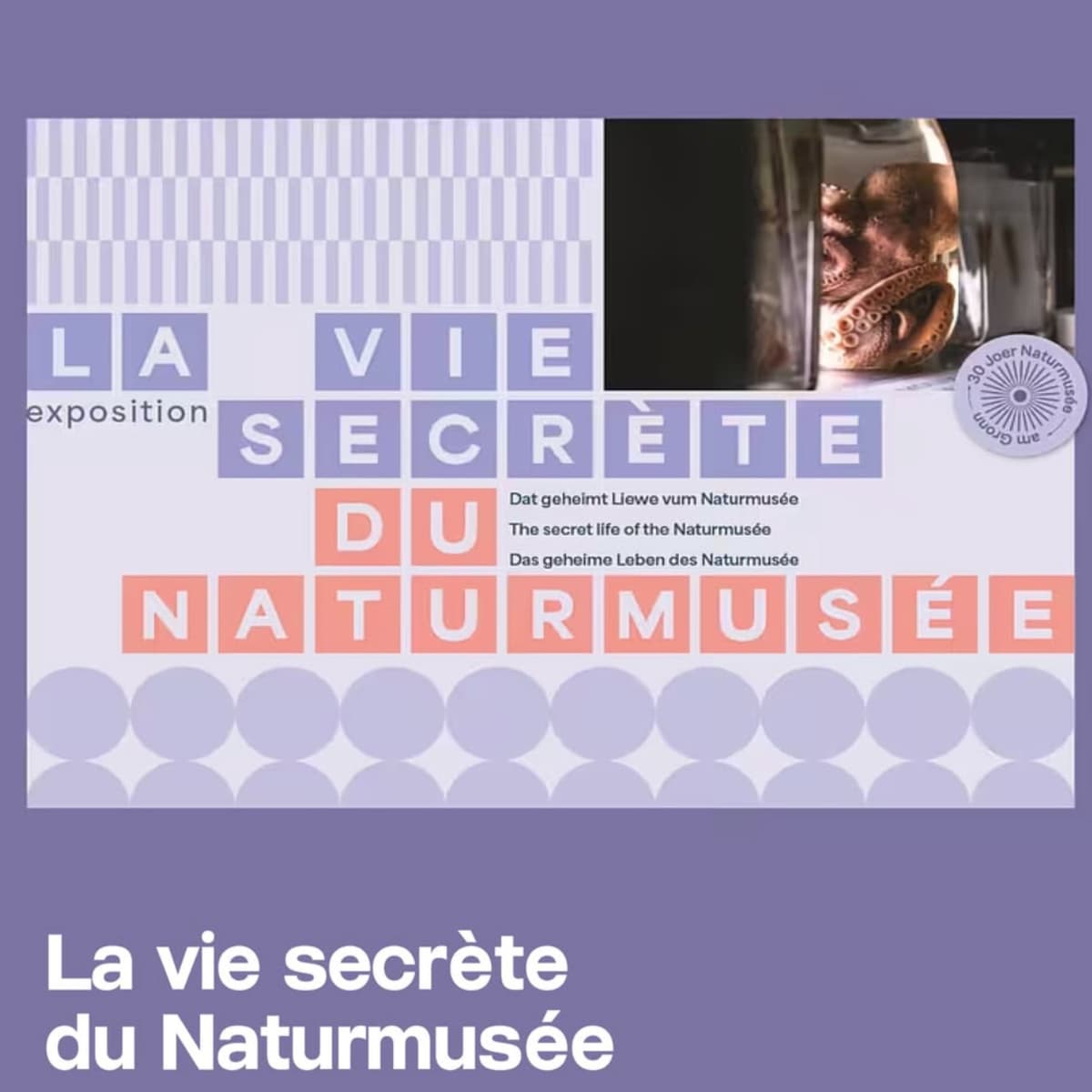 Museum Night 2026 - Naturmusée