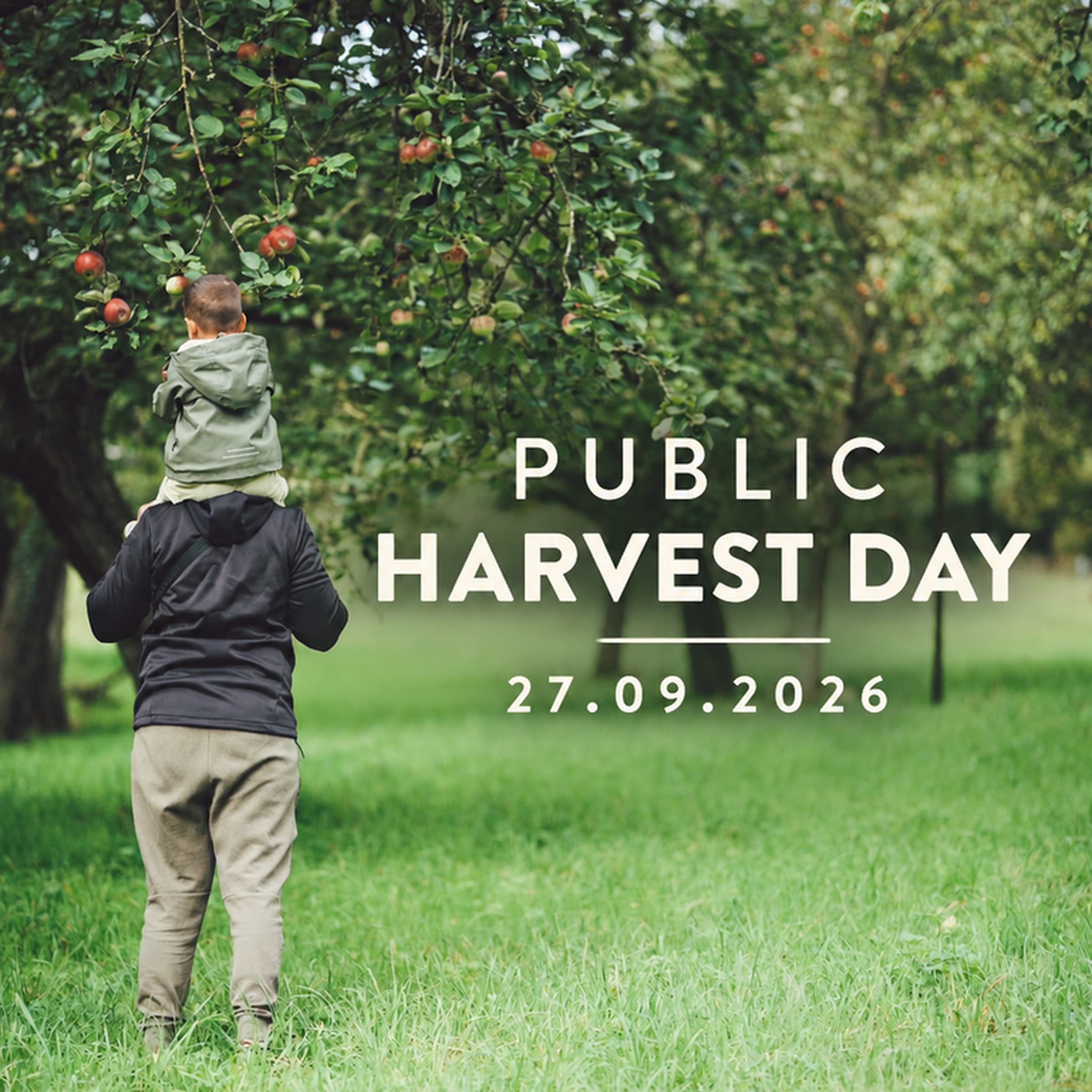 Public Harvest Day chez Ramborn
