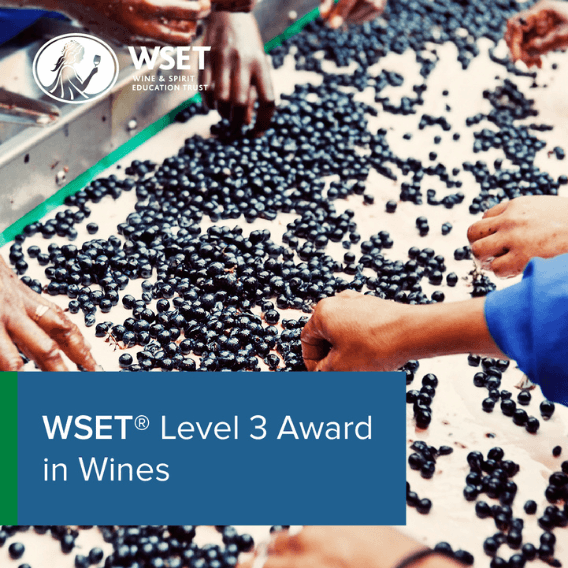 WSET Niveau 3 – Français