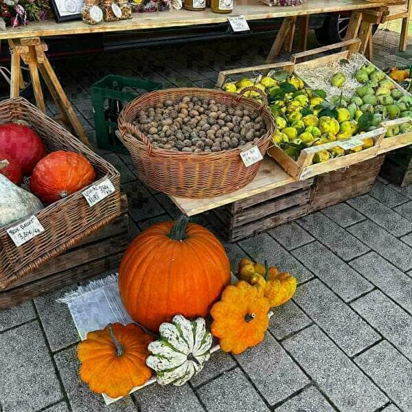 Marché de producteurs locaux