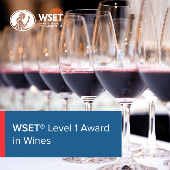 WSET Niveau 1 (EN)