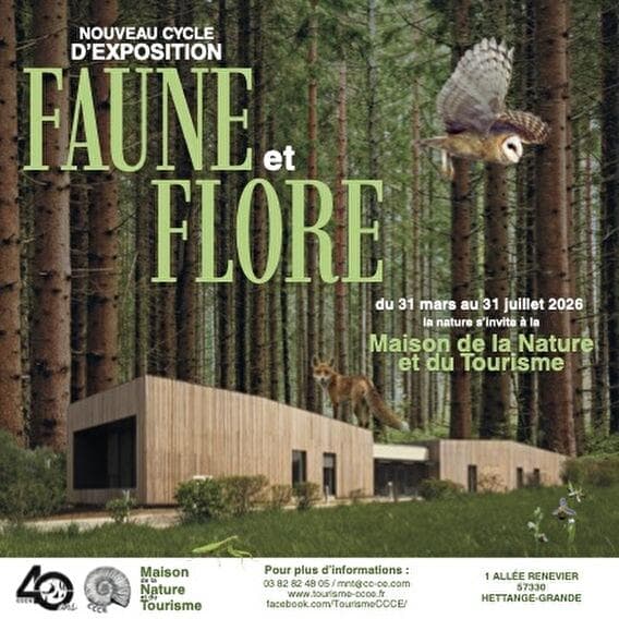 Cycle 'Faune et Flore' - Immersion passionnante dans la biodiversité