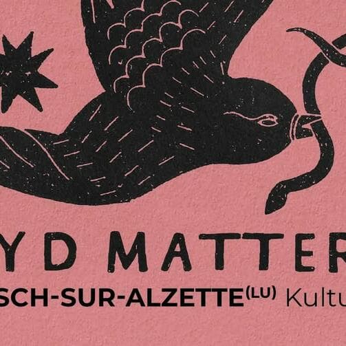 Syd Matters at the Kulturfabrik