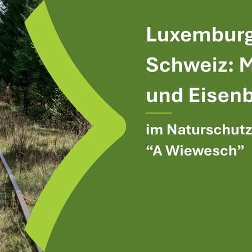 Petite Suisse luxembourgeoise : Moulins et chemin de fer (8,5 km)