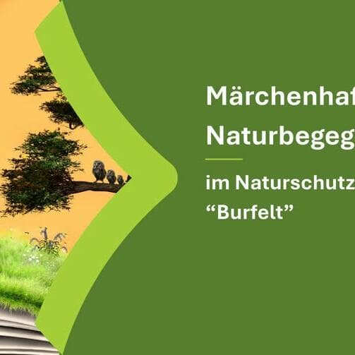 Rencontre féerique avec la nature