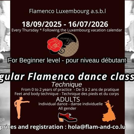 Flamenco pour adultes : débutant · Technique (tous les jeudis)