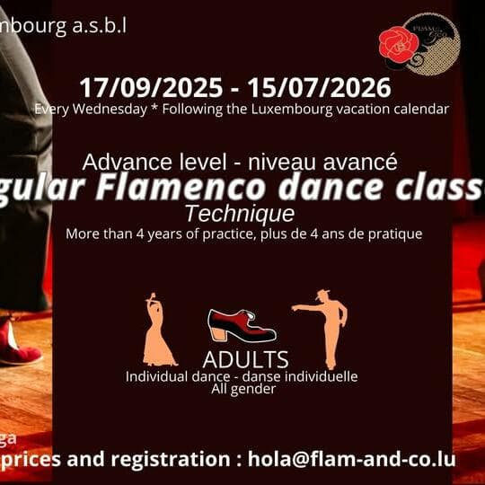 Flamenco pour adultes : niveau avancé : technique (tous les mercredis)