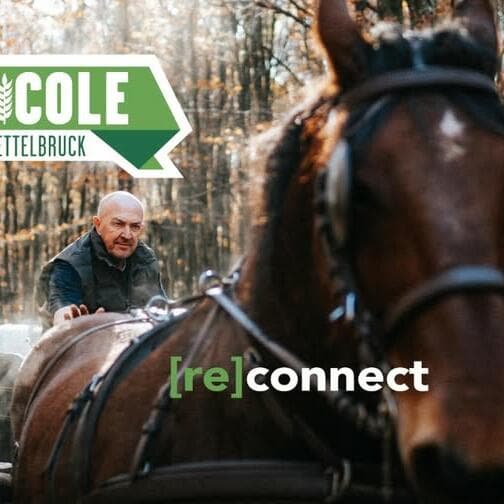 Foire Agricole d'Ettelbruck 2026