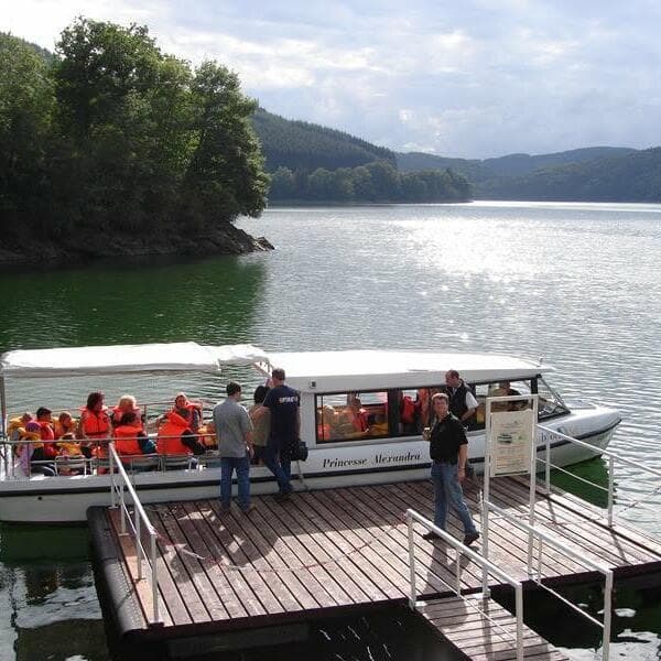 Croisière en bateau solaire + Musée Burfelt