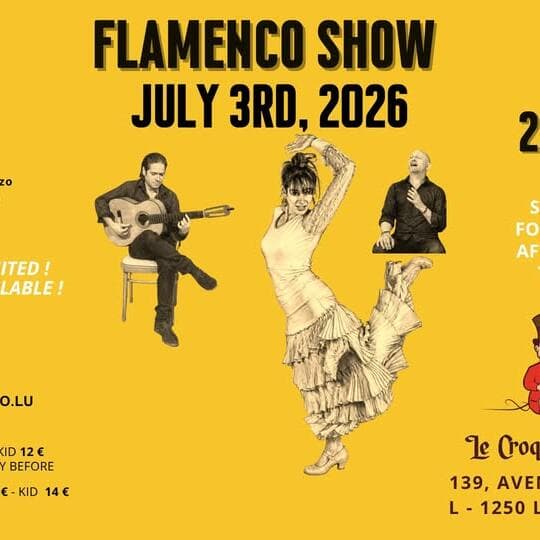 Spectacle flamenco intimiste & discussion avec les artistes