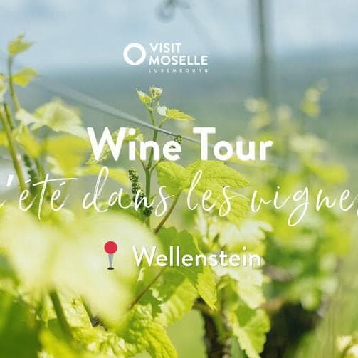 Afterwork Wine Tour - L'été dans les vignes