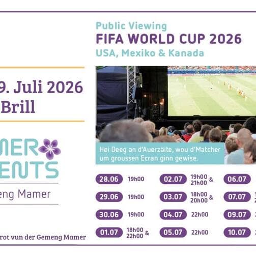 FIFA World Cup 2026 - Diffusion publique au Parc Brill
