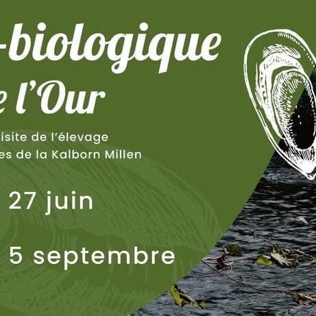 Clervaux Letz Breathe : Randonnée biologique – Les moules perlières dans la vallée de l'Our