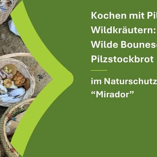 Cooking with mushrooms and wild herbs: Wild Bouneschlupp & mushroom stick bread