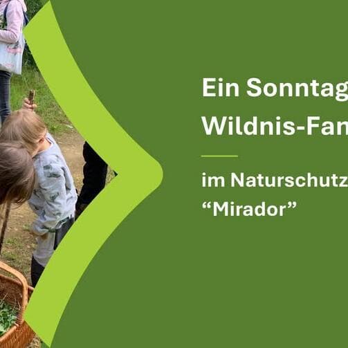 A Sunday for Wild Family Day