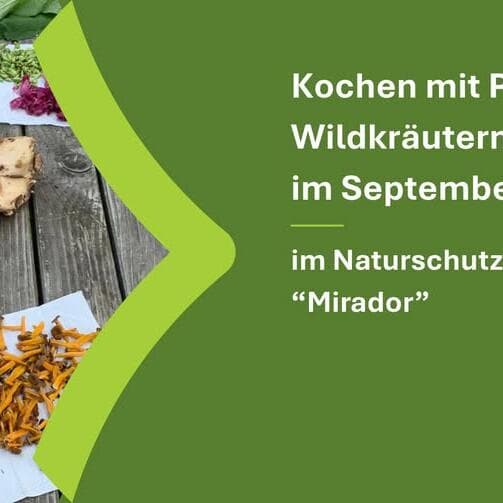 Cooking with mushrooms and wild herbs in September