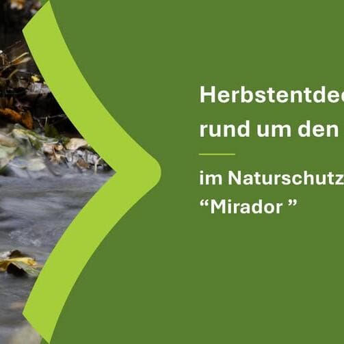 Autumn Discovery Tour around the Mirador