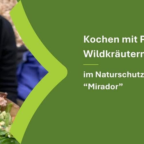 Cooking with mushrooms and wild herbs in October