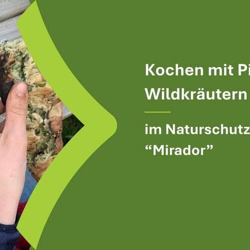 Cooking with mushrooms and wild herbs in November
