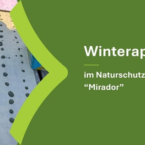 Winter Pharmacy