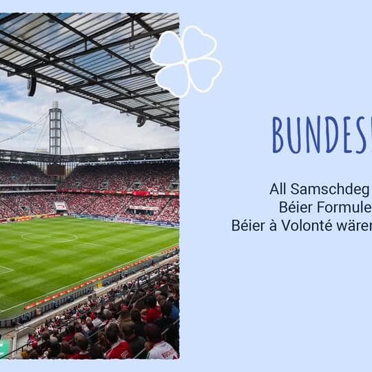 Bundesliga live