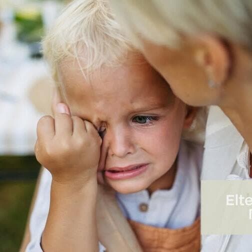Strong Feelings, Calm Parents: Understanding and Regulating Emotions