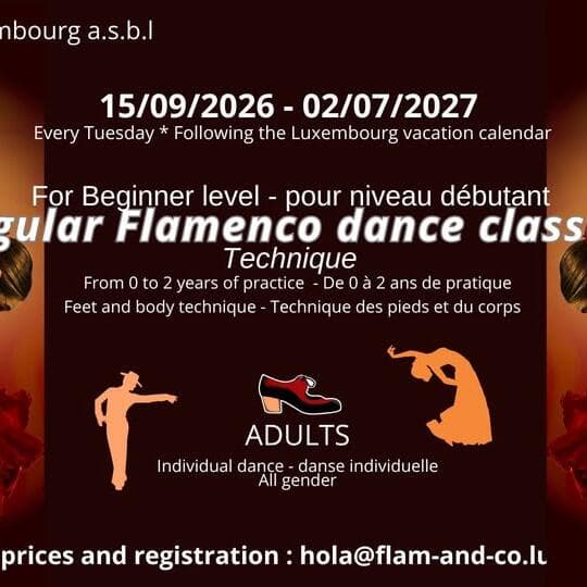 Flamenco adultes débutants : technique du mardi