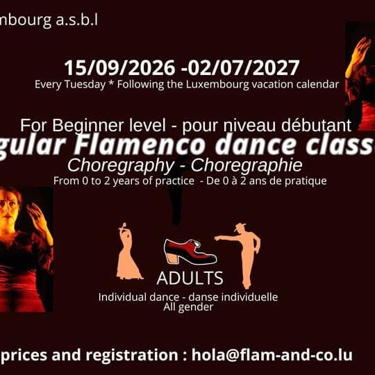 Flamenco adultes : débutants — chorégraphie chaque mardi