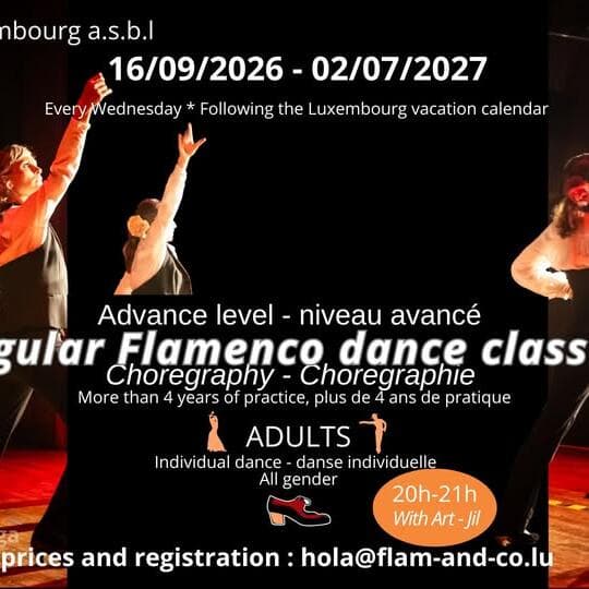 Flamenco avancé : chorégraphie chaque mercredi