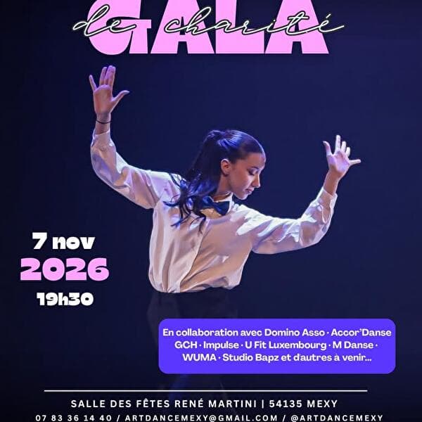 Art Dance Mexy Charity Gala 3.0