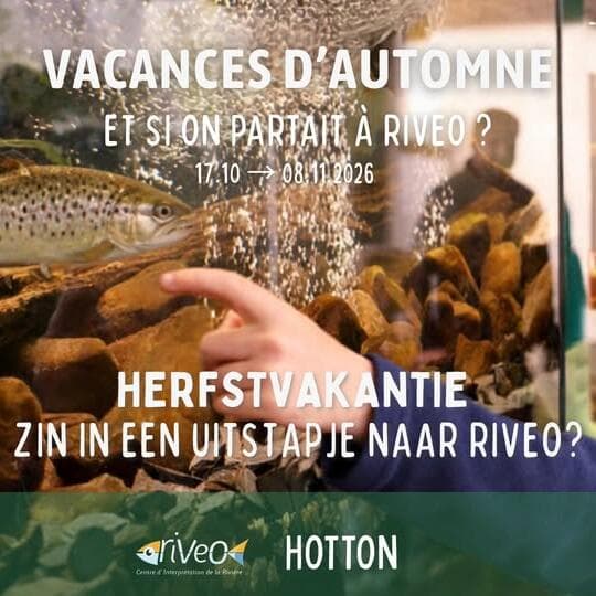 Autumn holidays for families at RIVEO – Aquariums, mini-golf and surprises!