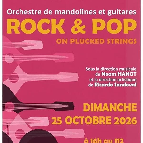 Rock & Pop on Plucked Strings, à Terville !
