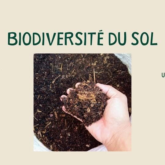 Soil biodiversity: theoretical and practical workshop