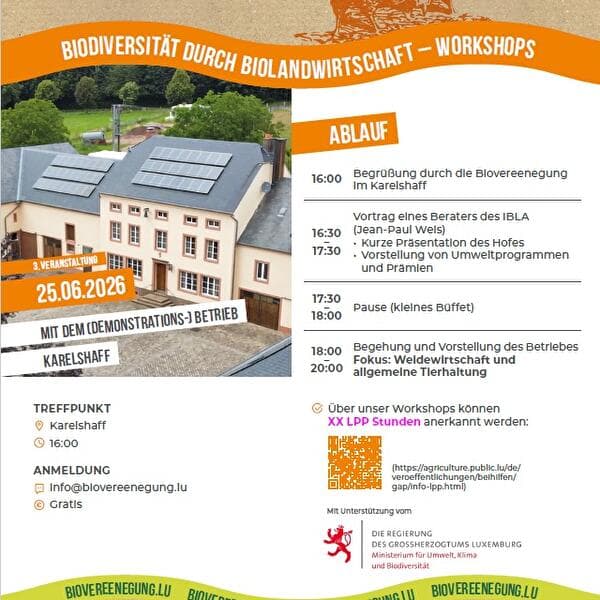 Biodiversität-Workshop 3