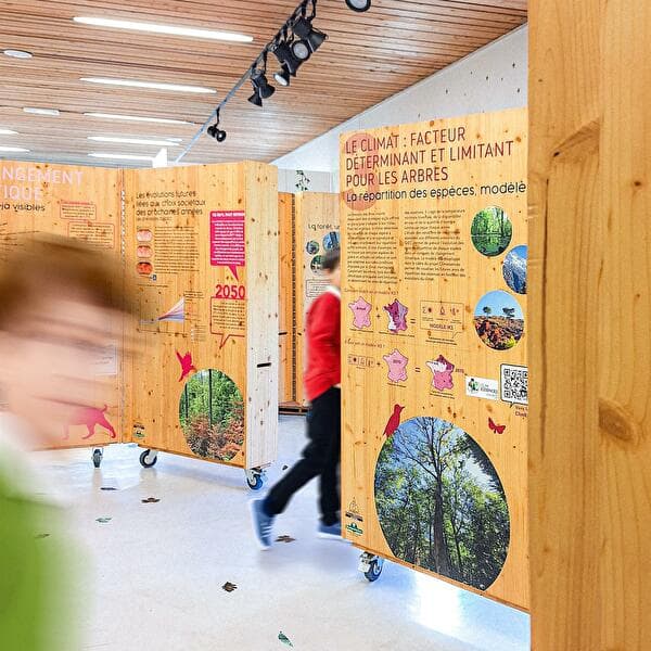 Exposition - Les forêts du Grand Est à l'épreuve du changement climatique