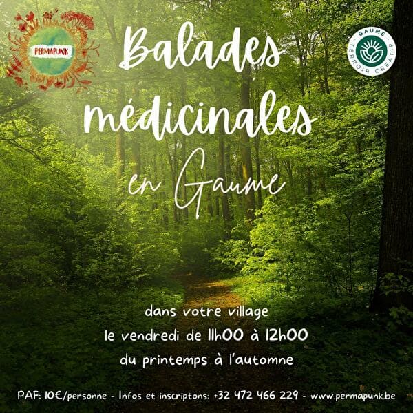 Medicinal walk in Gaume