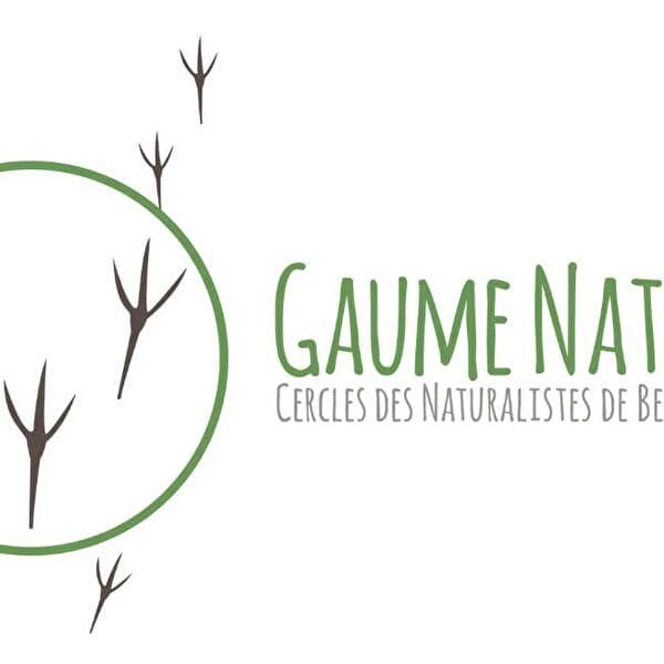 Nature treasure hunt