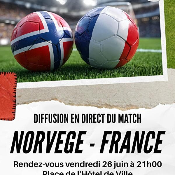 Coupe du Monde de football Norvège - France