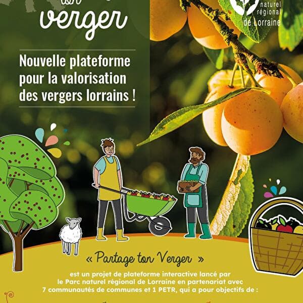Partage ton verger : une plateforme de valorisation des vergers lorrains !