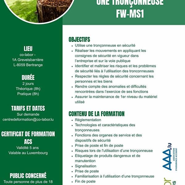 Formation tronçonneuse
