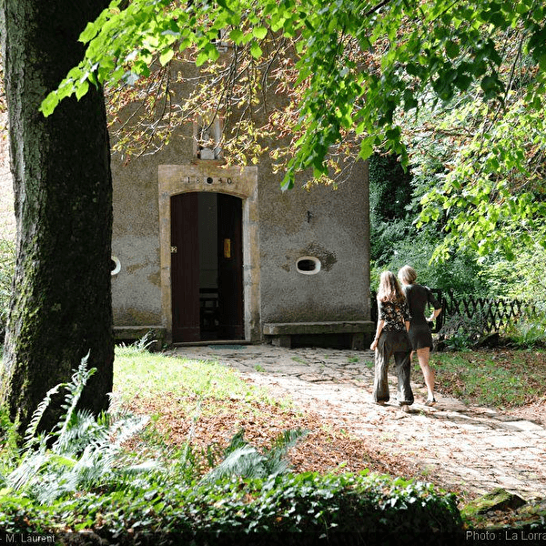 Balade guidée : Torgny et son vignoble