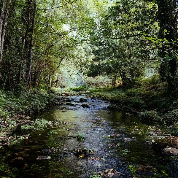 Nature Fun - Eau'Ruisseaux