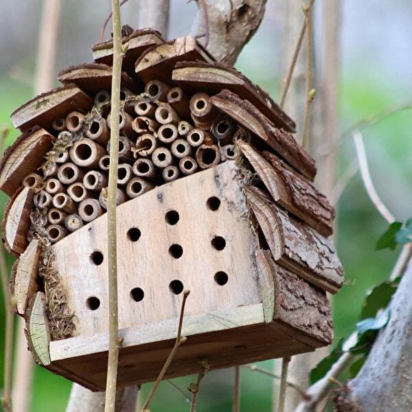 Atelier nature - Drôles de bêtes cherchent hébergement !