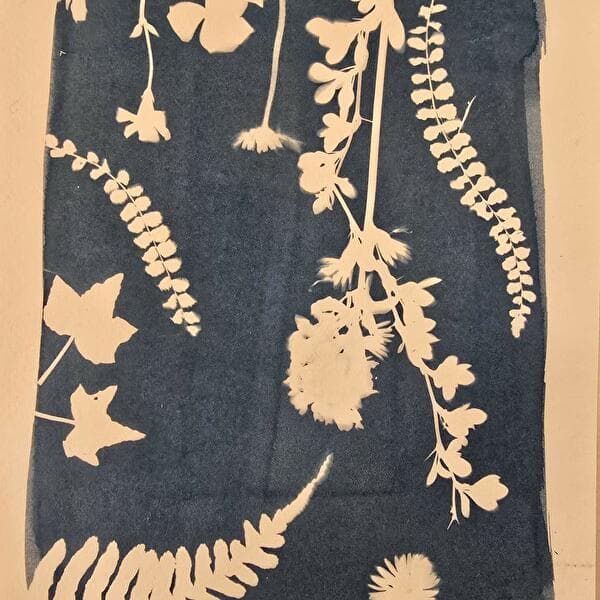Discover the world of cyanotype!
