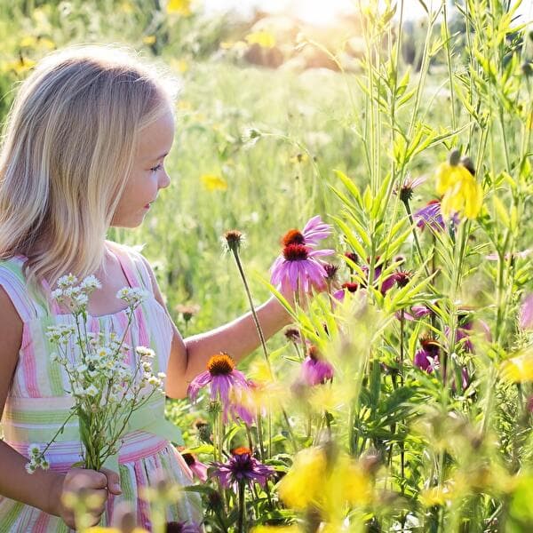 Nature Crafts - Floral Decoration