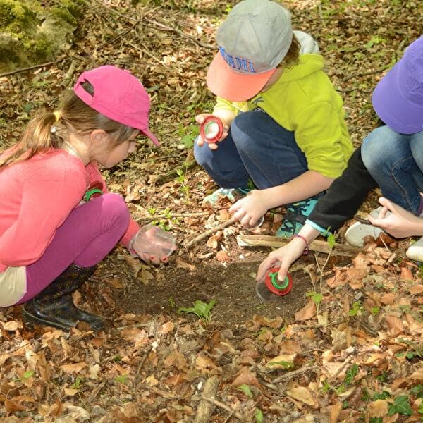Nature Fun - Nature Investigation