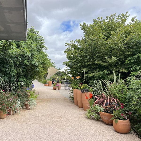Workshop - Container gardening